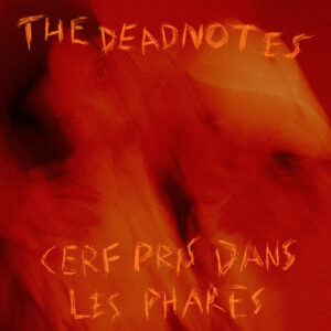 The Deadnotes - Cerf pris dans les phares