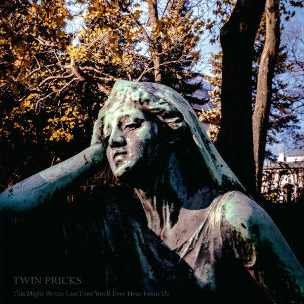 Twin Pricks - This Might Be The Last Time You'll Ever Hear From Us (Vinyl, LP)